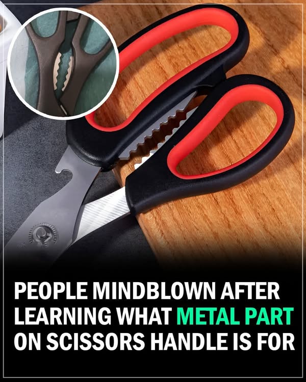 You are currently viewing The Hidden Tool in Your Scissors: A Clever Design That Can Save You Time and Money