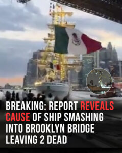 Read more about the article Brooklyn Bridge Crash: Mechanical Failure Caused Deadly Collision With Mexican Navy Ship, Initial Report Reveals