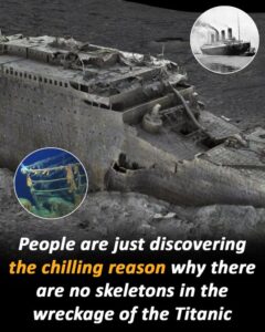 Read more about the article Why Were No Bodies Found in the Titanic Wreck? Experts Finally Explain the Haunting Truth