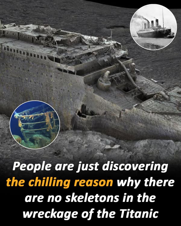 You are currently viewing Why Were No Bodies Found in the Titanic Wreck? Experts Finally Explain the Haunting Truth