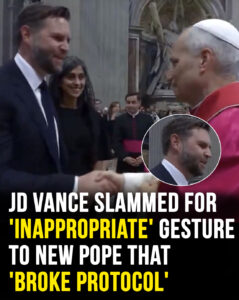 Read more about the article JD Vance Sparks Outrage After Breaking Papal Protocol During Meeting With Pope Leo XIV