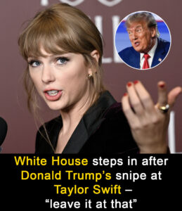 Read more about the article White House Breaks Silence on Donald Trump’s Taylor Swift Jab: “He’s Referring to Her Politics”