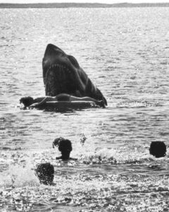 Read more about the article The Deleted Jaws Scene That Was Too Terrifying for Theaters—And Why You’ve Likely Never Seen It