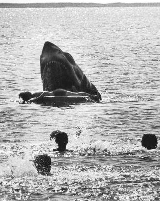 You are currently viewing The Deleted Jaws Scene That Was Too Terrifying for Theaters—And Why You’ve Likely Never Seen It