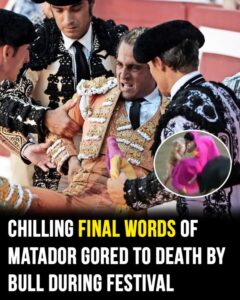 Read more about the article Bullfighter’s Chilling Final Words Before Death