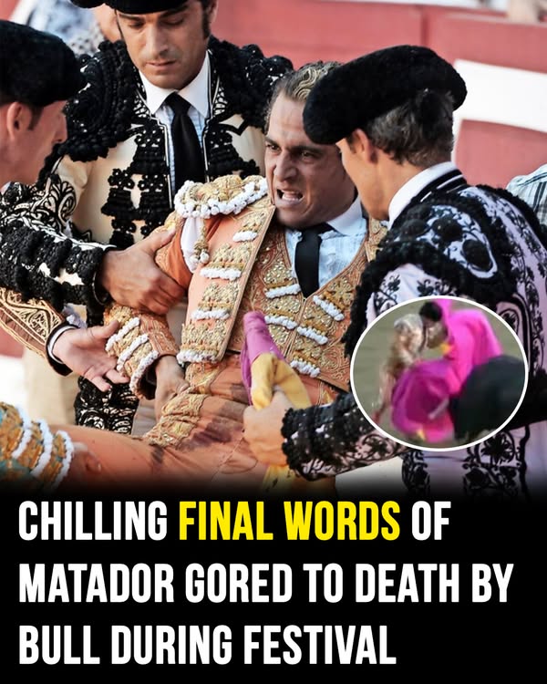 You are currently viewing Bullfighter’s Chilling Final Words Before Death