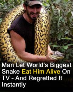 Read more about the article Man Attempts to Be Eaten by Snake for Conservation: Instantly Regrets It
