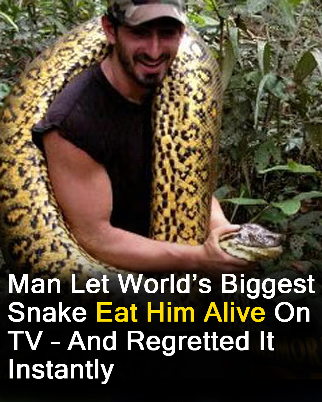 You are currently viewing Man Attempts to Be Eaten by Snake for Conservation: Instantly Regrets It