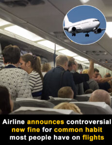 Read more about the article Airline’s Controversial New Fine for Common Plane Habit