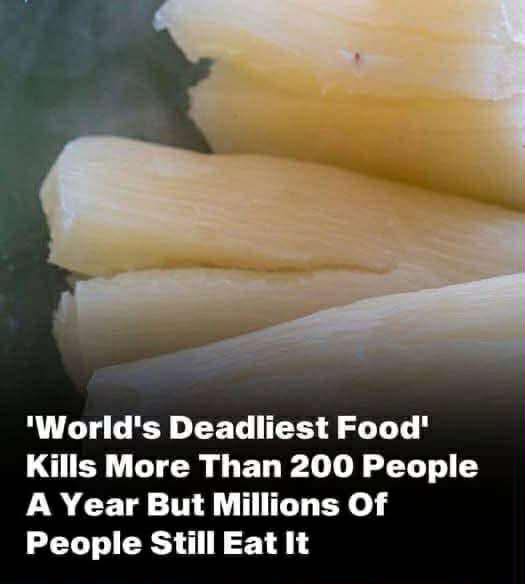 Read more about the article The ‘World’s Deadliest Food’ Claims Over 200 Lives Every Year, Yet Nearly 500 Million People Still Eat It