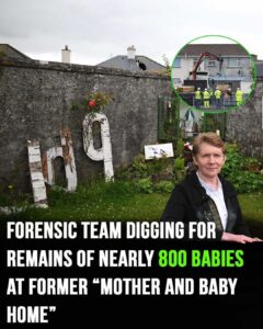 Read more about the article Excavation Begins for Remains of 800 Infants at Former ‘Mother and Baby Home’