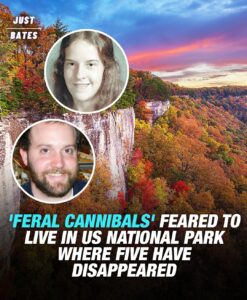 Read more about the article ‘Feral Cannibals’ Feared to Live in U.S. National Park Where Five People Have Vanished