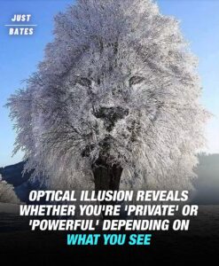 Read more about the article Optical Illusion Tells You Whether You’re ‘Private’ Or ‘Powerful’ Based On What You See