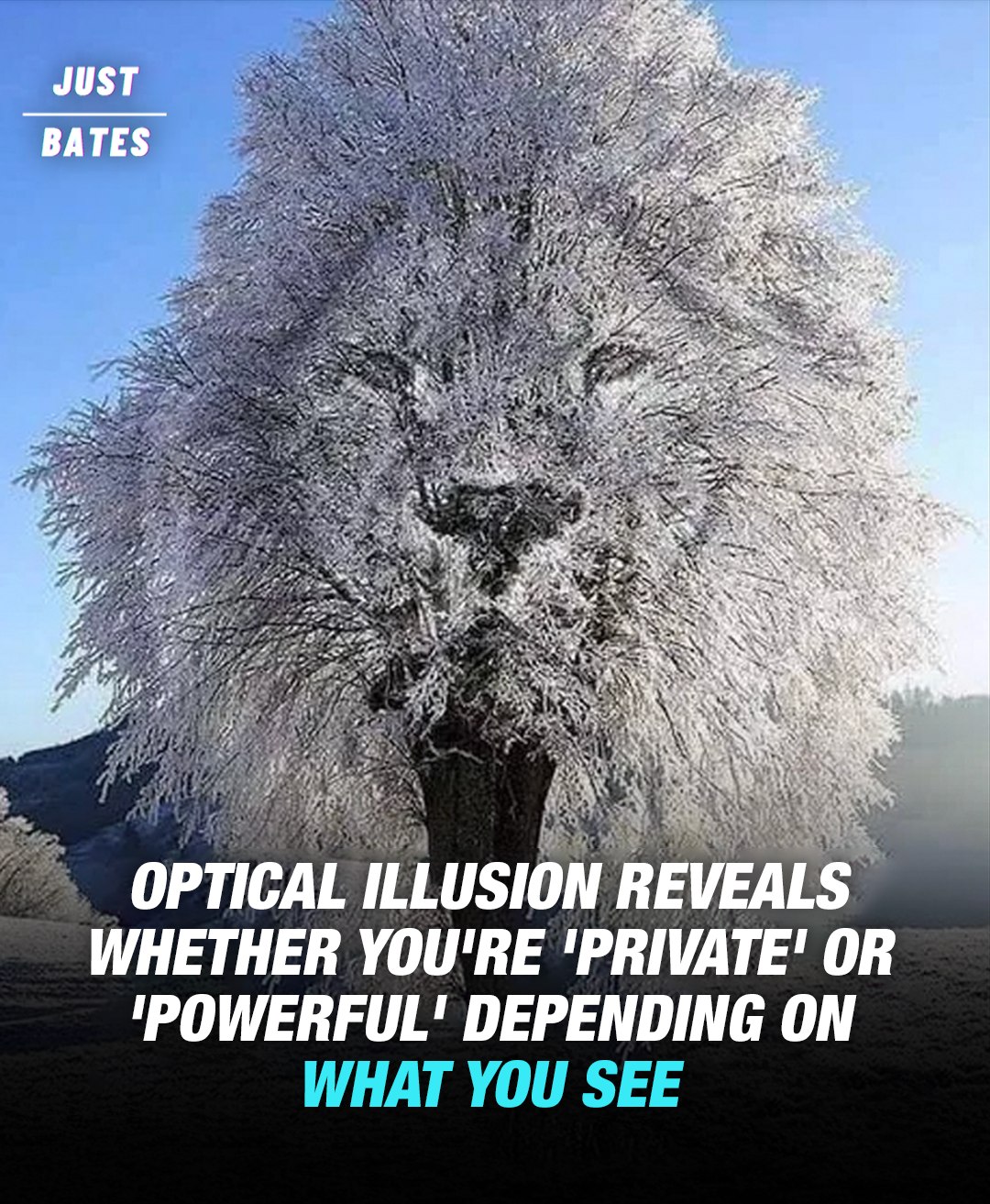 Read more about the article Optical Illusion Tells You Whether You’re ‘Private’ Or ‘Powerful’ Based On What You See