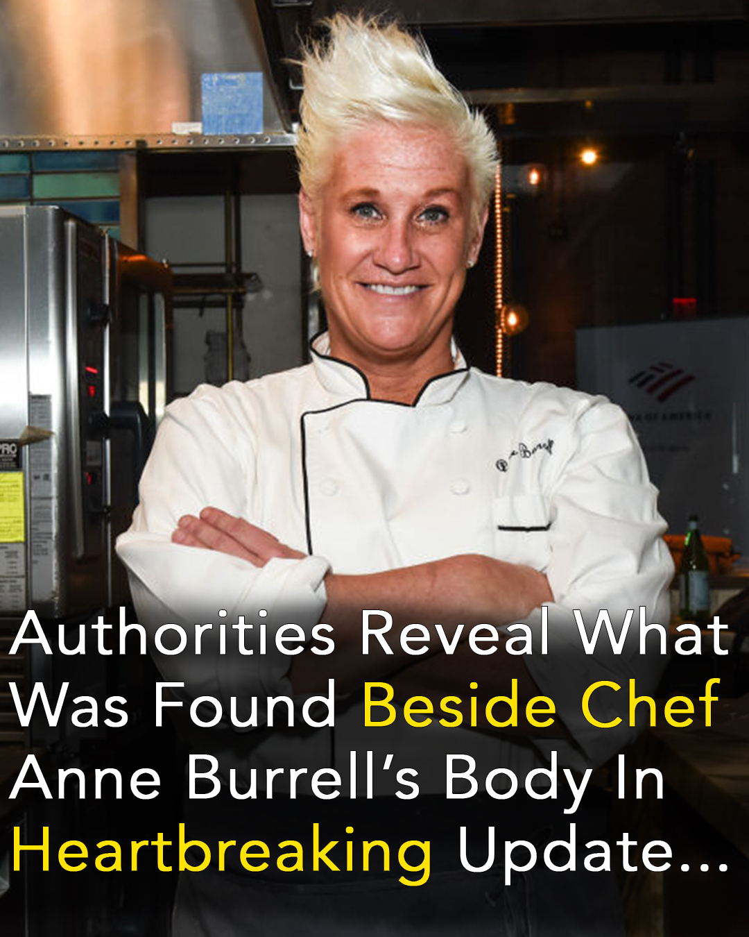 You are currently viewing Anne Burrell’s Death Investigated as Possible Drug Overdose