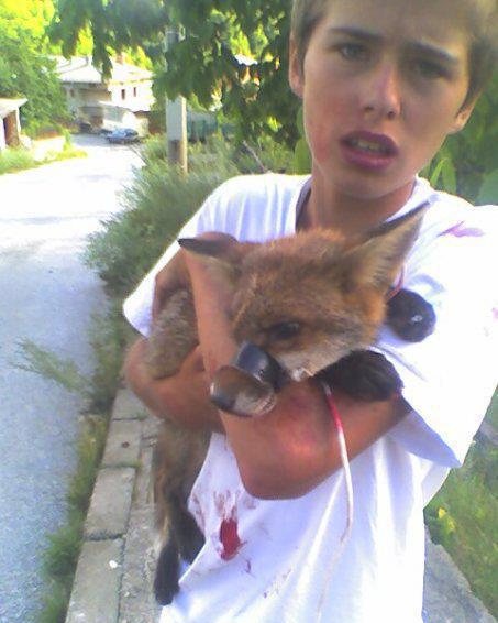 Read more about the article Why You Need to Know About Luke Rowles’ Incredible Fox Rescue and the Rowles Family’s Heroic Mission