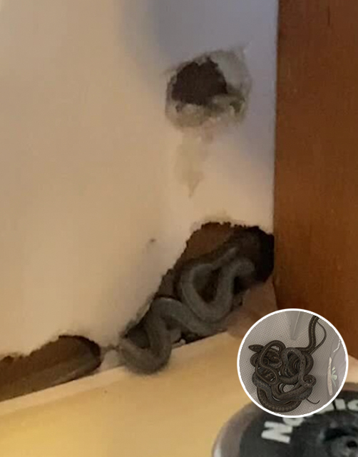 You are currently viewing Mom of Two Moves into Her First Home, But a Strange Discovery Sends Her into a Panic
