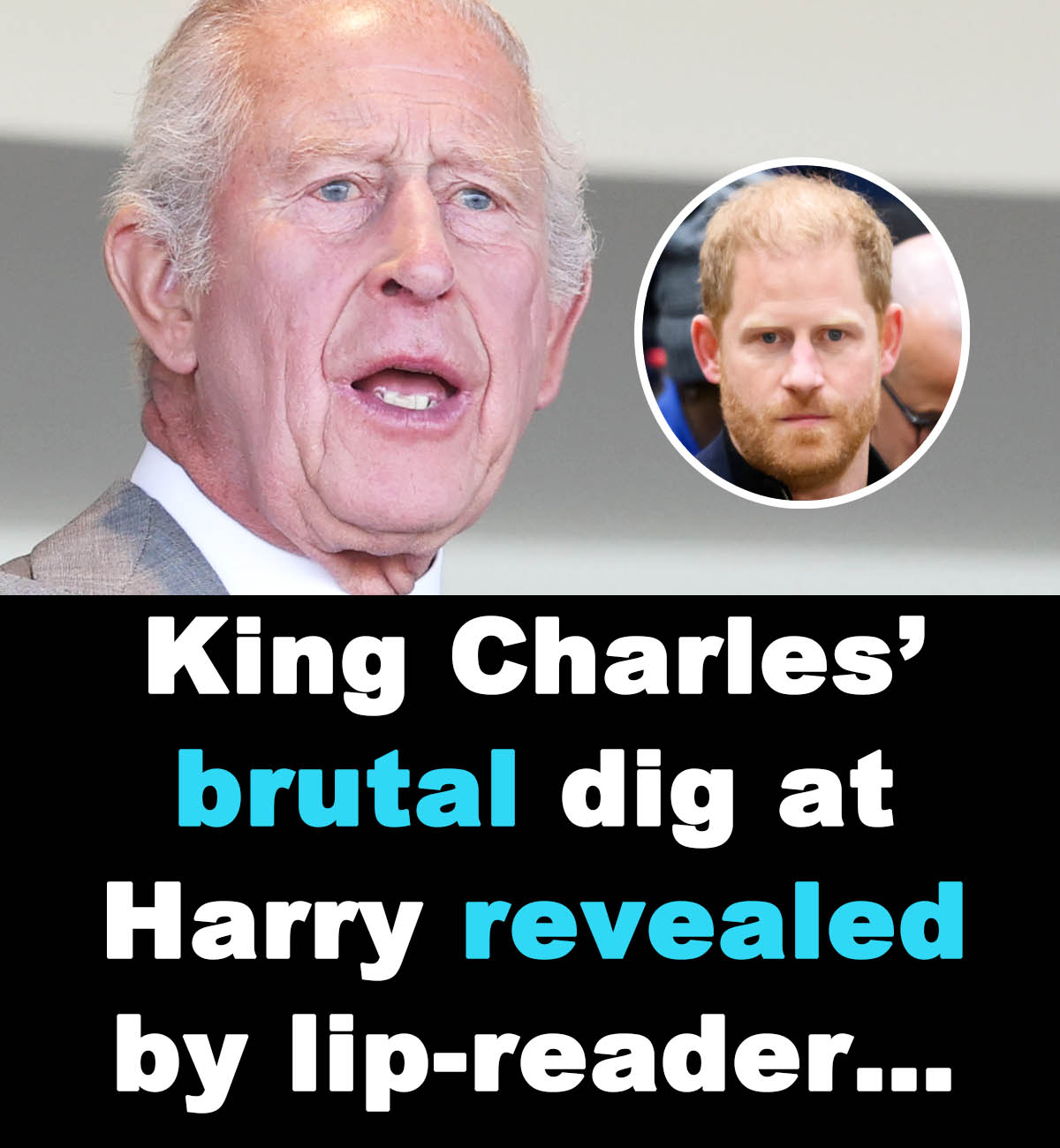 You are currently viewing King Charles Takes a Brutal Dig at Prince Harry, Claims Lip-Reader