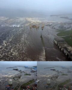 Read more about the article Powerful 8.8-Magnitude Earthquake Near Russia Triggers Tsunami Warnings Across the Pacific