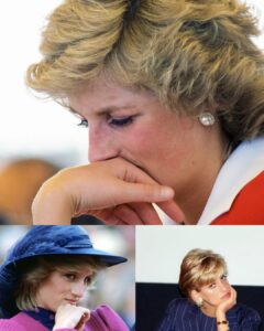 Read more about the article The Heartbreaking Reason Princess Diana Spent Her Last Christmas Alone