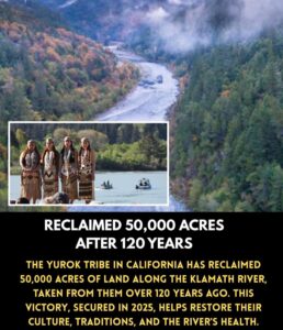 Read more about the article Yurok Tribe’s Historic “Land Back” Victory: Reclaiming 47,000 Acres of Ancestral Land