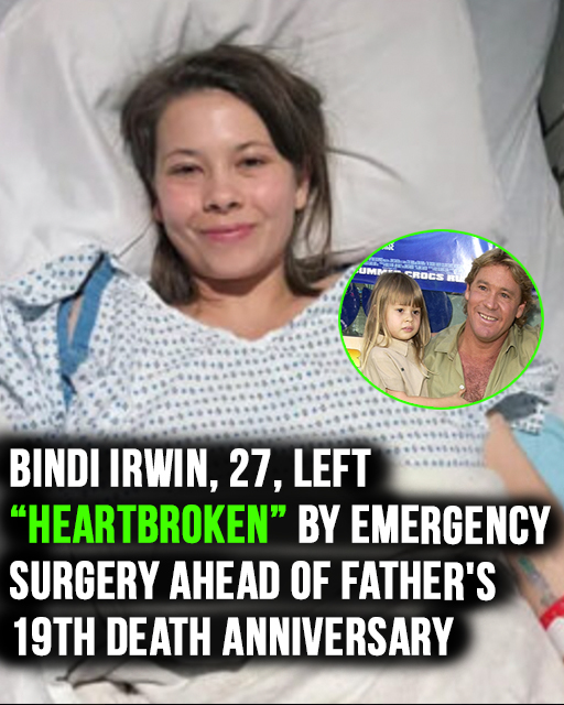 Read more about the article Bindi Irwin Heartbroken by Emergency Surgery Just Before Father’s 19th Death Anniversary
