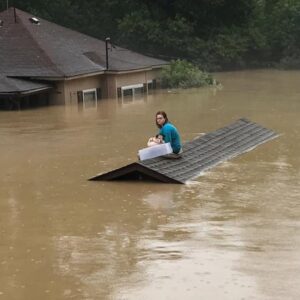 Read more about the article Woman Uses Plastic Container to Save Her Elderly Dog From Rising Floodwaters