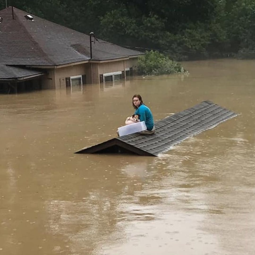 You are currently viewing Woman Uses Plastic Container to Save Her Elderly Dog From Rising Floodwaters