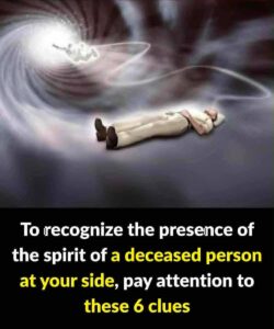 Read more about the article How to Distinguish Between the Spirit of a Loved One and Other Forces