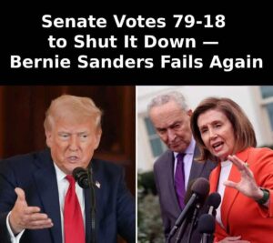 Read more about the article Senate Rejects Sanders’ Resolutions to Block Arms Sales to Israel Amid Gaza Conflict