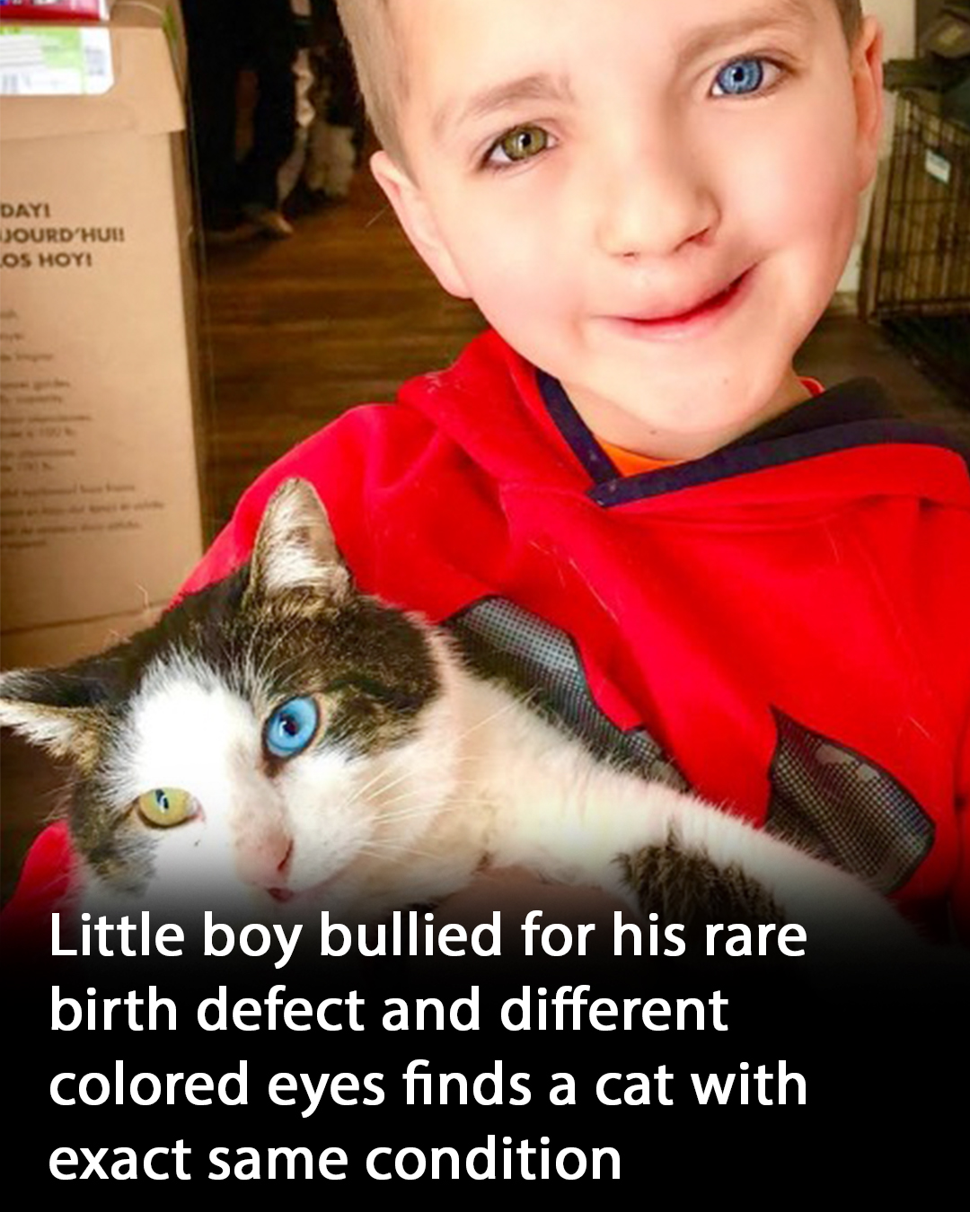 You are currently viewing Boy Bullied for Cleft Lip and Different Colored Eyes: How a Cat Turned Everything Around