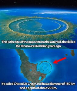 Read more about the article Chicxulub: The Crater That Ended the Age of Dinosaurs and Shaped Earth’s Future