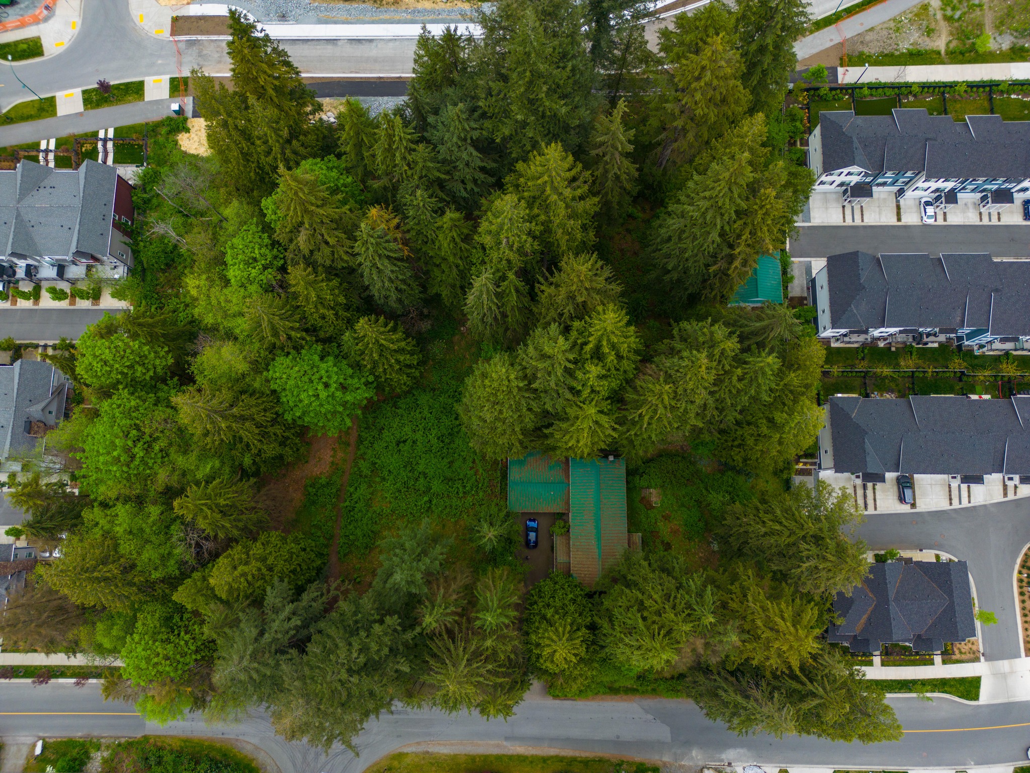 You are currently viewing A Lone Home Among Townhouses: The Elderly Woman Who Refuses to Move
