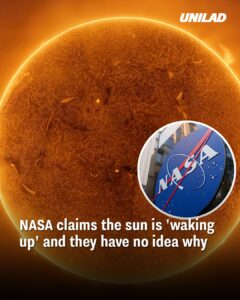 Read more about the article NASA: The Sun is “Waking Up”—But No One Knows Why