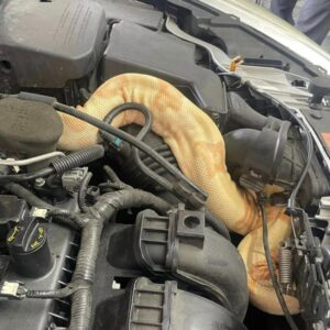Read more about the article A Mechanic’s Jaw-Dropping Snake Discovery