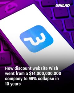 Read more about the article The Rise and Fall of Wish: From $14 Billion to 99% Collapse in Just 10 Years