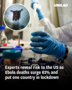 Read more about the article Ebola Deaths Surge 63%: Should the US Be Concerned?