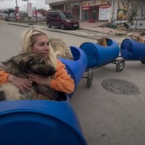Read more about the article Woman Builds Dog Train To Give Disabled Rescue Pups A Second Chance At Joy 🚂🐶