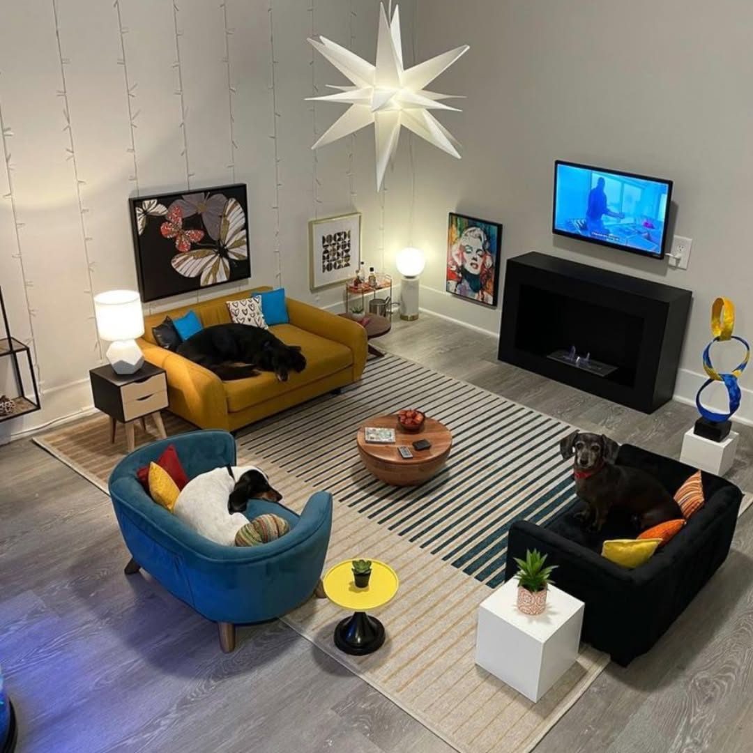 You are currently viewing Man Turns Spare Bedroom Into Luxurious Living Room — Just for His Dogs