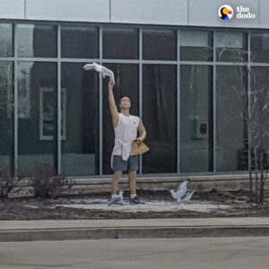 Read more about the article The Lifelike Statue That Fooled a Hospital Visitor