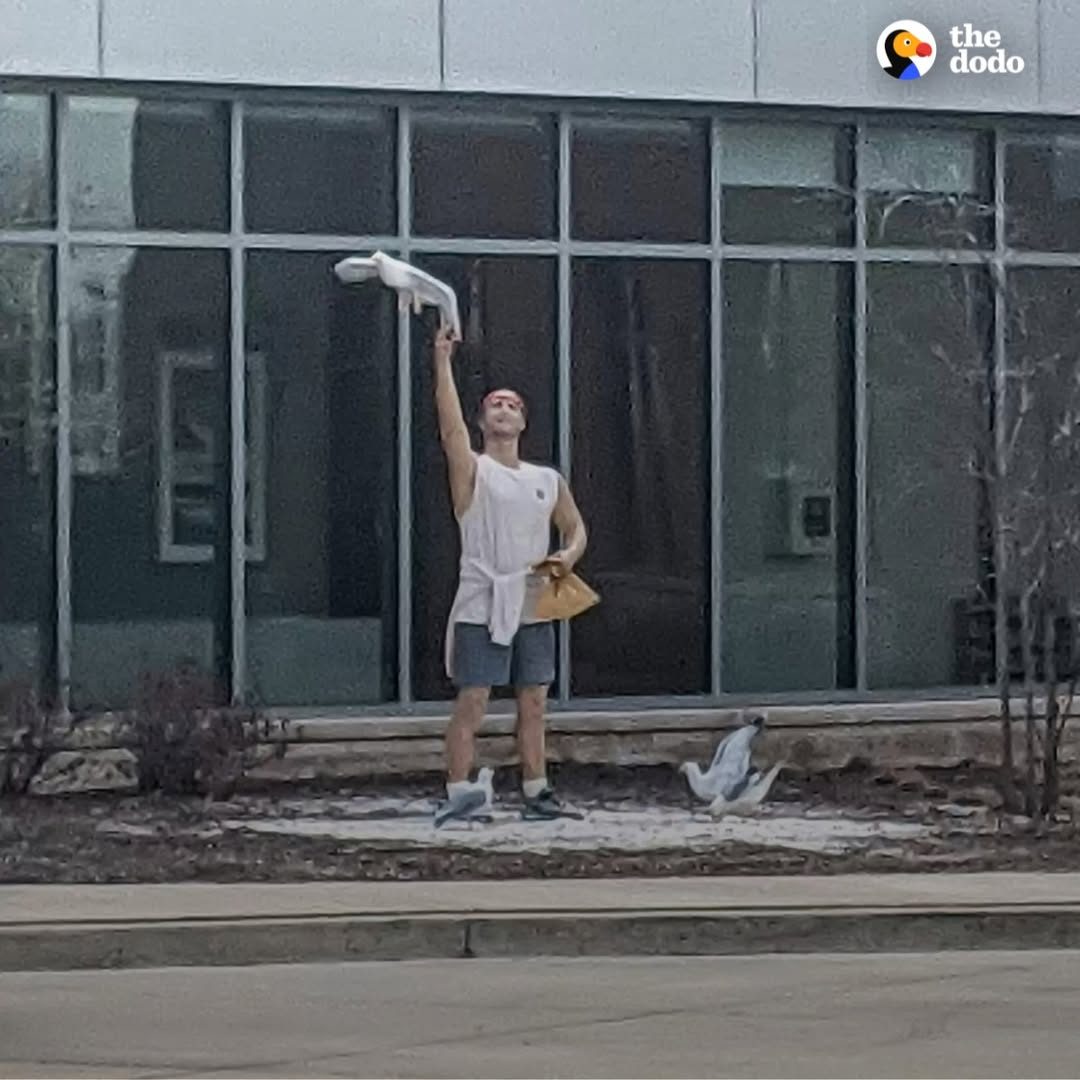 You are currently viewing The Lifelike Statue That Fooled a Hospital Visitor
