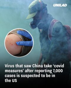 Read more about the article From China To The US: A Virus On The Move