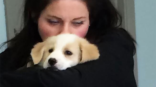 Image Source: Facebook/DogRescuersInc