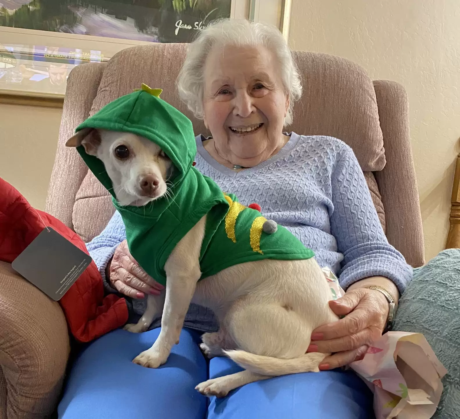 Muttville Senior Dog Rescue