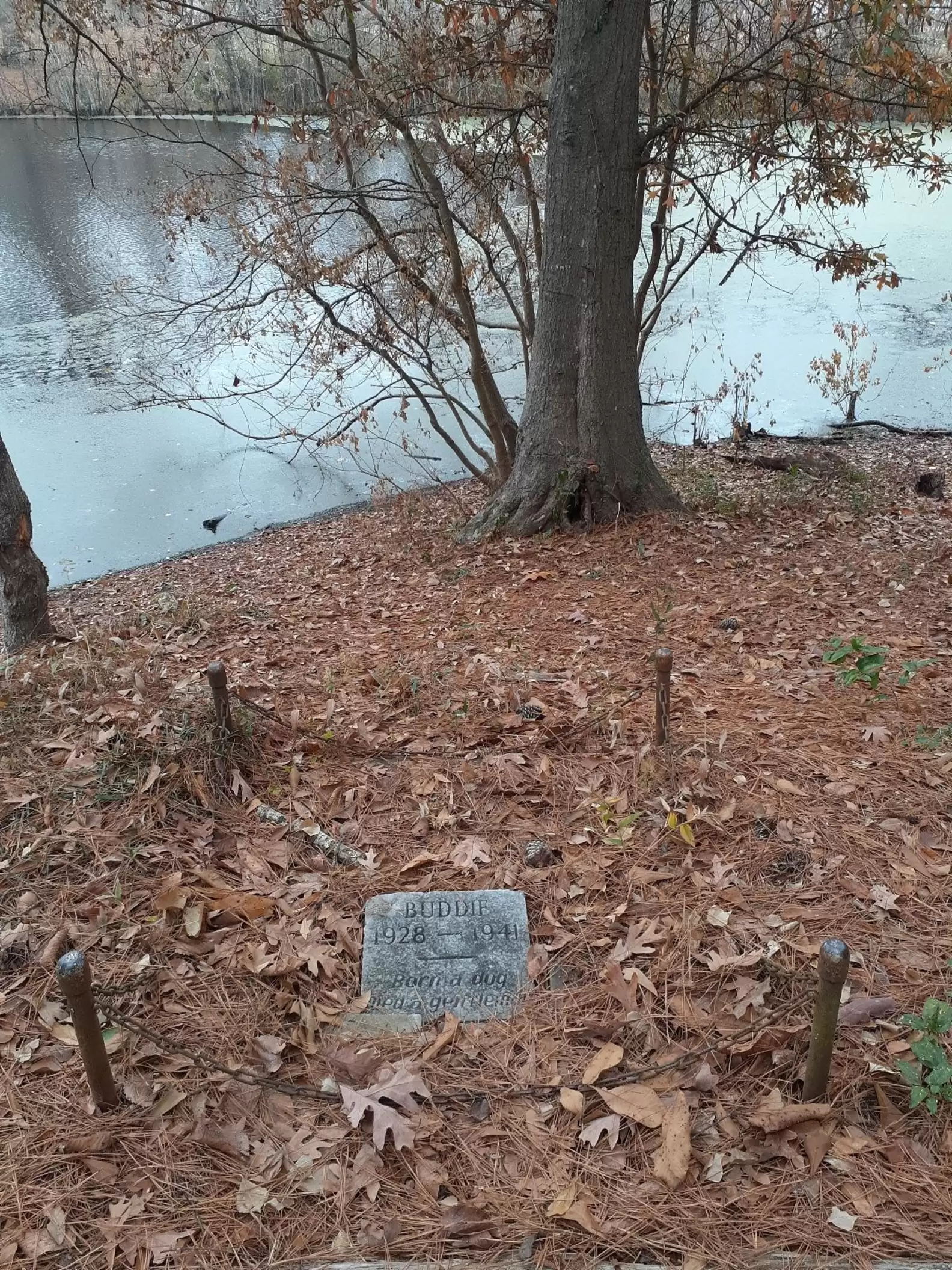 Lora Peppers/Findagrave.com