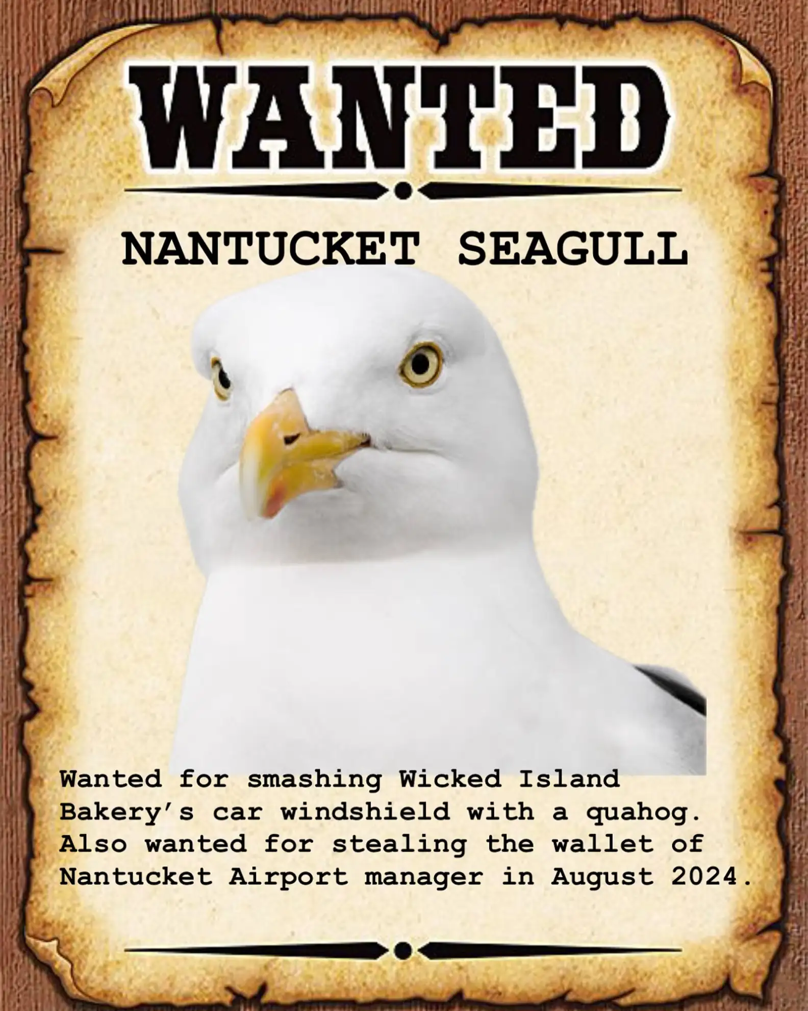 Nantucket Current