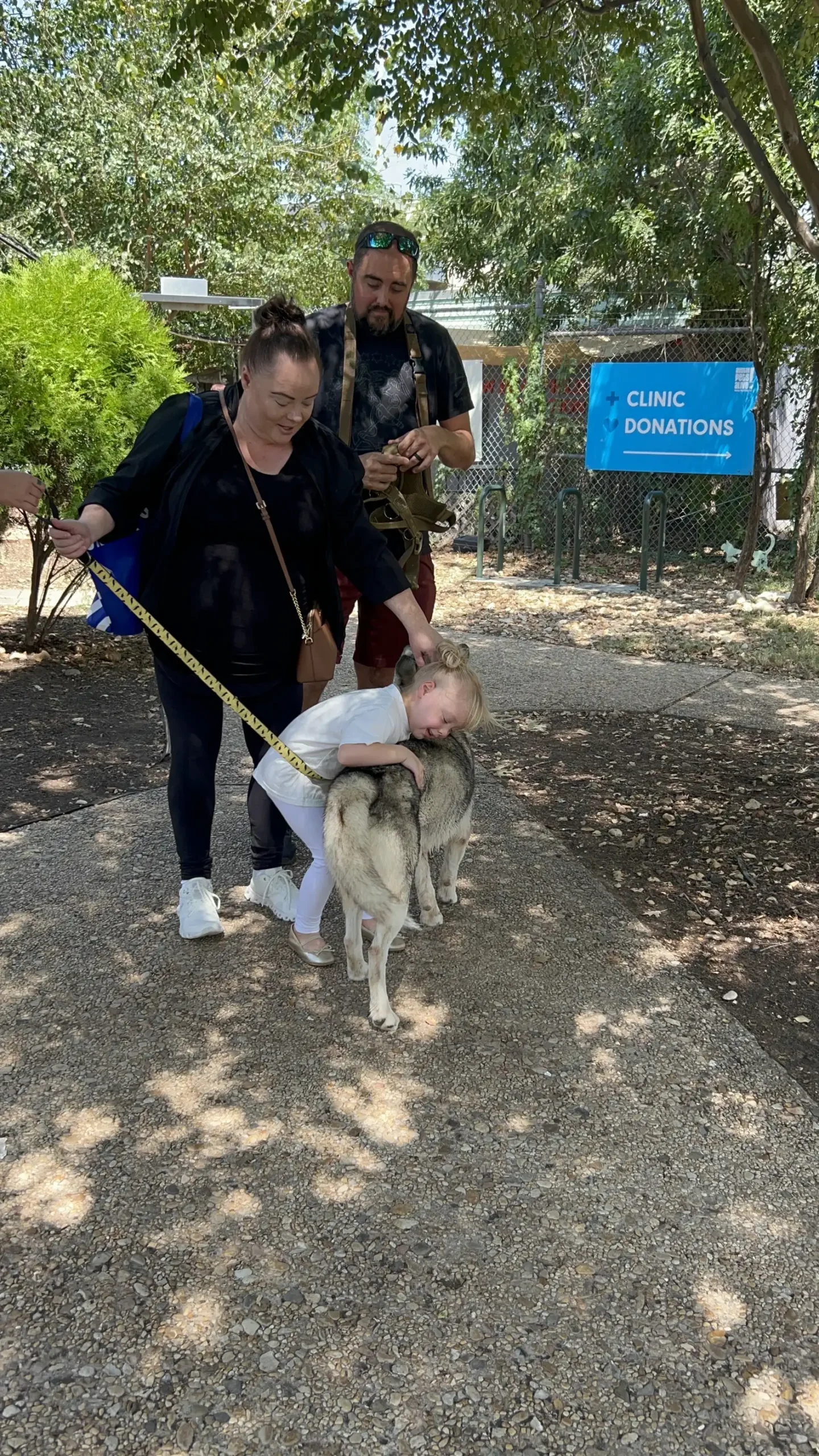 Austin Pets Alive!