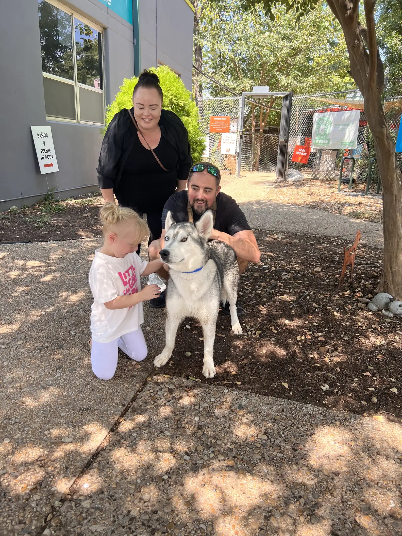 Austin Pets Alive!