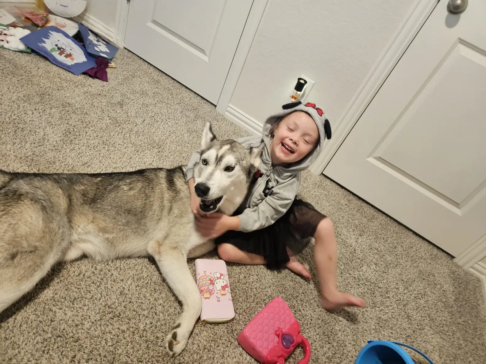 Austin Pets Alive!