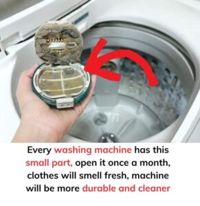 Read more about the article If You Don’t Know, Read Here: How to Keep Your Washing Machine Clean & Lasting Longer